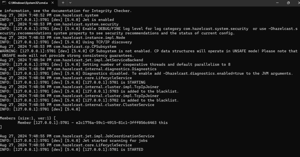 Start Hazelcast Members and Client