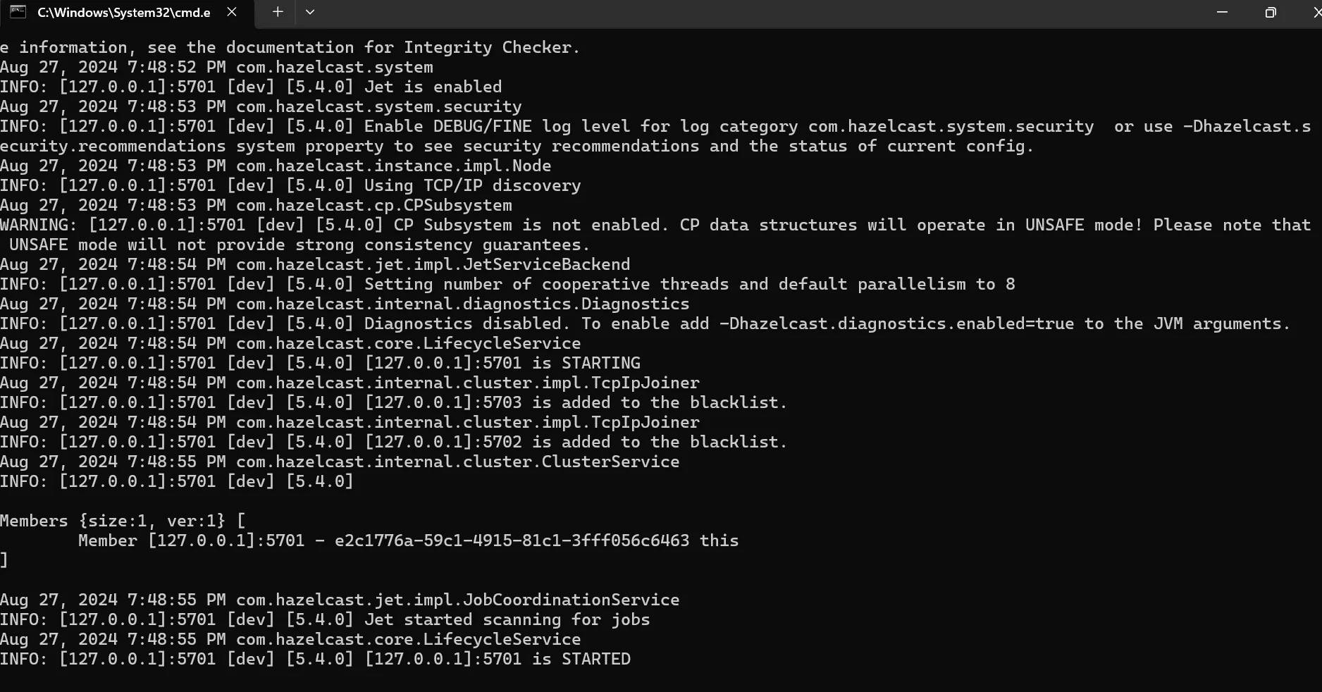 Start Hazelcast Members and Client